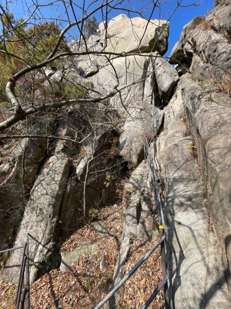 istock Autumn Hiking Trail 1437812759