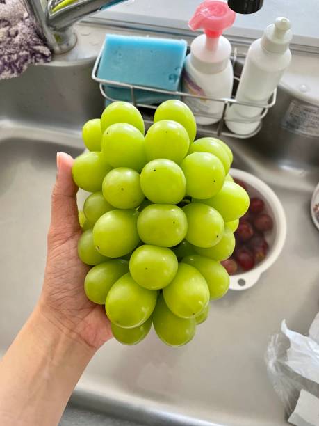 istock Fresh muscat green grapes 1437813871
