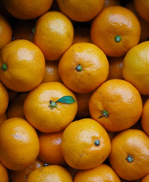 Fresh fruit Jeju citrus, mandarin, tangerine stock photo