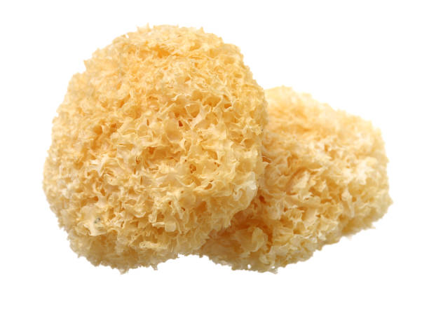 istock Tremella fuciformis 1437820122