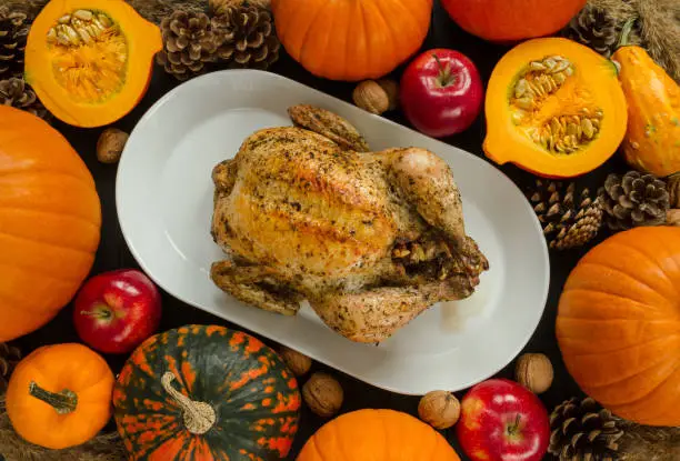Delicious roasted chicken or turkey on a table for Thanksgiving dinner, surrounded by pumpkins, apples, nuts and cones. Autumn or fall seasonal flat lay top view composition.