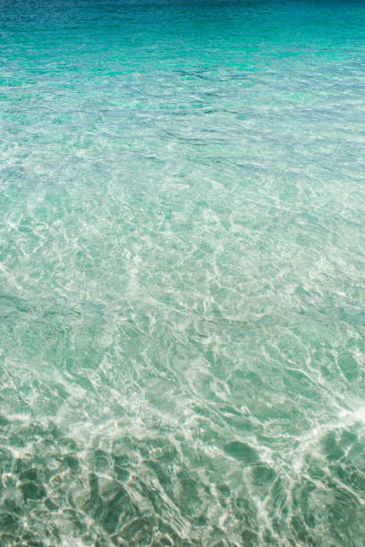 A vertical shot of crystal clear water surface as a background - copy space