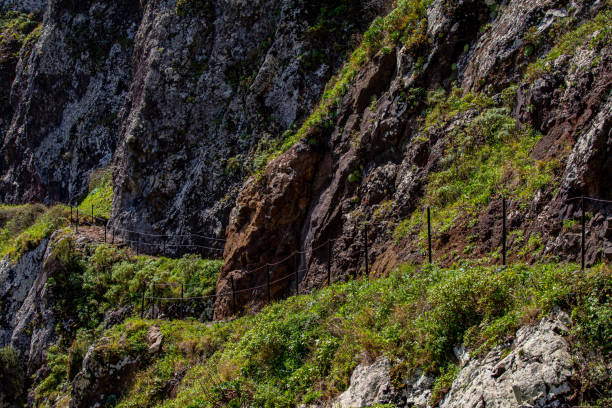 istock Vereda do Larano hiking trail, Madeira 1437826259
