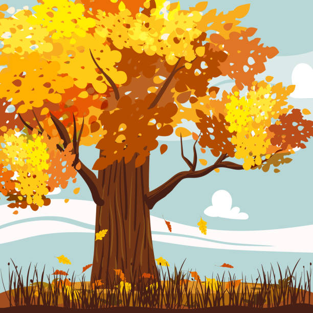 illustrations, cliparts, dessins animés et icônes de paysage d’automne avec chêne jaune, orange, feuilles mortes. paysage rural saisonnier, campagne - vibrant color rural scene outdoors tree