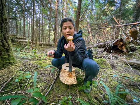 Young Eurasian woman holds wild Chanterelle mushroom growing in sunlit forest.  Bamfield, Vancouver Island, British Columbia, Canada