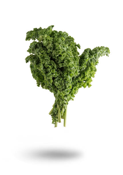 istock Vertical shot of greens on white background 1437836596