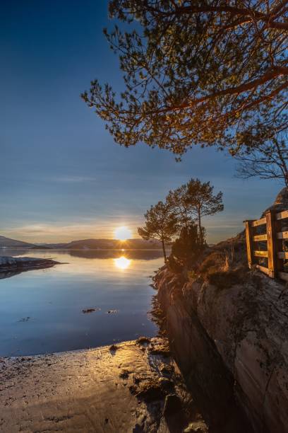 istock Beautiful sunset view from the lake with trees 1437836969