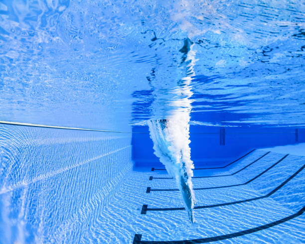 female athlete diving in a swimming pool