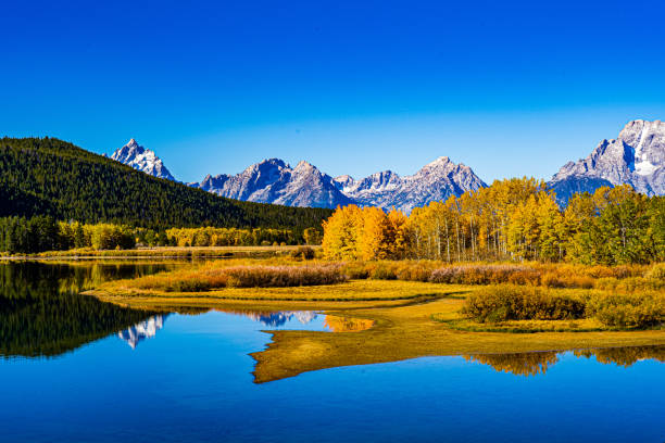 istock Fall in the Grand Teton National Park 1437841782