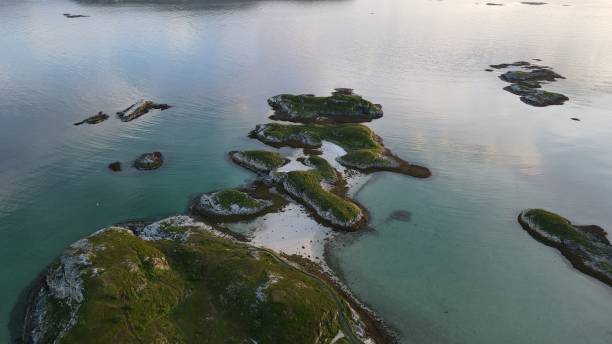 istock Aerial view of seashore with mossy rocks 1437841899