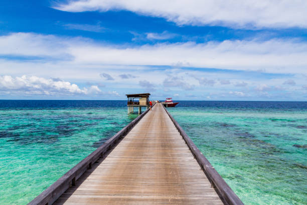 istock Beautiful nature view on the Maldives 1437841971