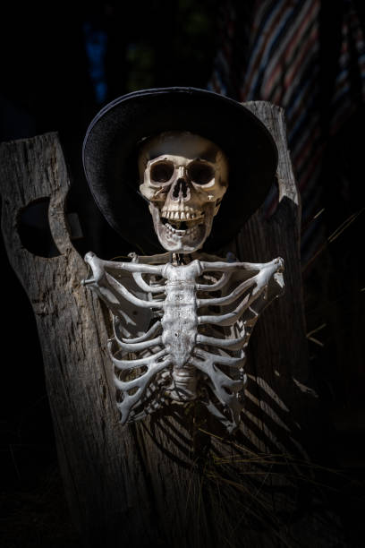 A vertical shot of a skeleton on a pirate grave