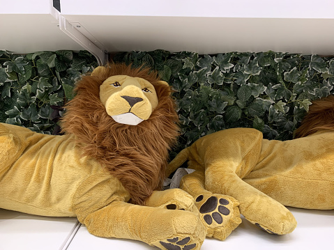 the two stuffed lion toys on a shelf