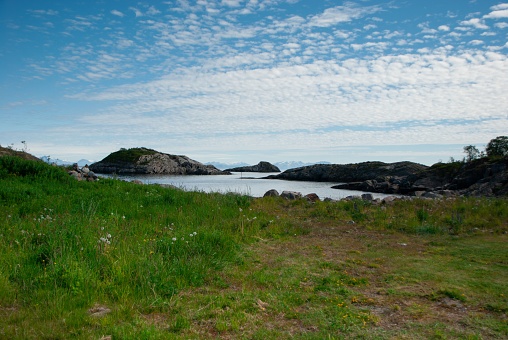 A beautiful landscape of green grass along the coastline of Lofoten Islands, Norway