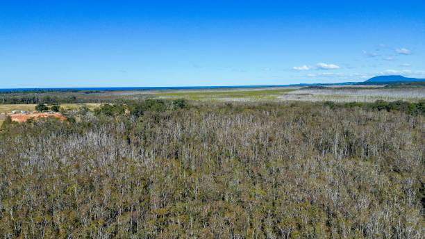 istock Clear day from the ai at Lighthouse Beach in Port Macquarie 1437845090