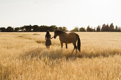 Albacete, Spain – October 15, 2020: Horizontal shot of a young girl walking with her horse in an open wide field. Portrait nature. People and animals. Equestrian. Amazing sunset.