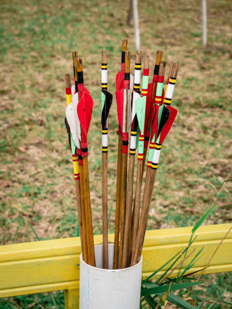 istock a bunch of colorful arrows placed in a container 1437846333