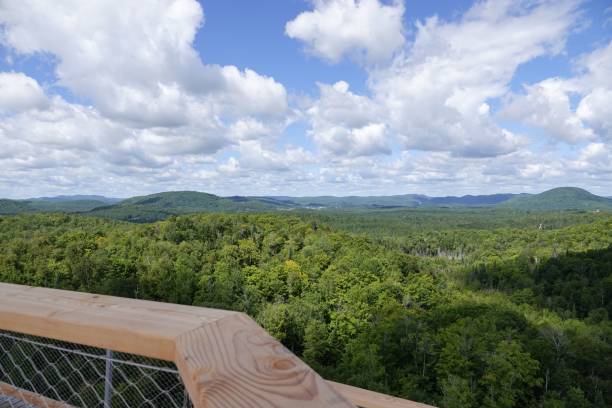istock Panoramic view of the hills covered in tree in Mont-Blanc village, Quebec, Canada 1437846449