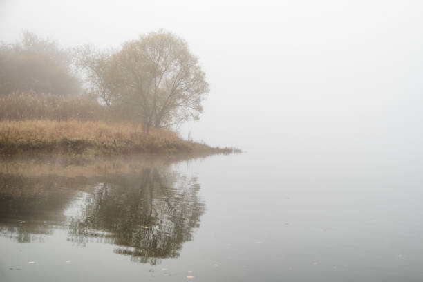 Foggy morning and tree on the shore of lake.Foggy morning and colorful trees over lake.