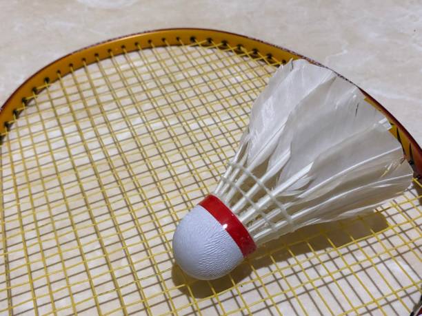 istock Badminton racket and shuttlecock photo 1437851762