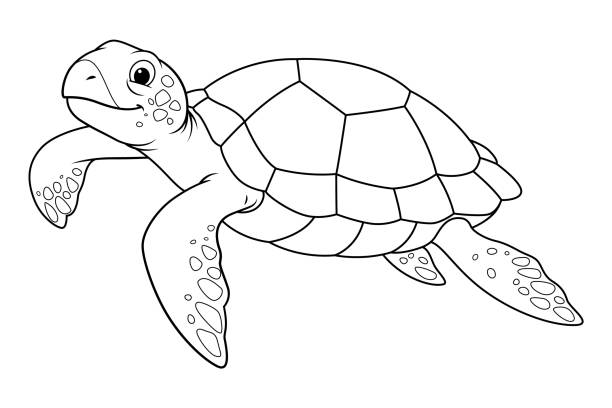 ilustrações, clipart, desenhos animados e ícones de ilustração animal de desenho animado da tartaruga marinha bw - pacific ocean