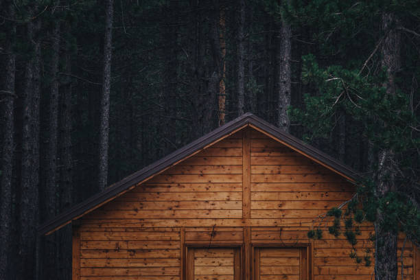 istock Forest cottage home in pine woodland at night 1437854790