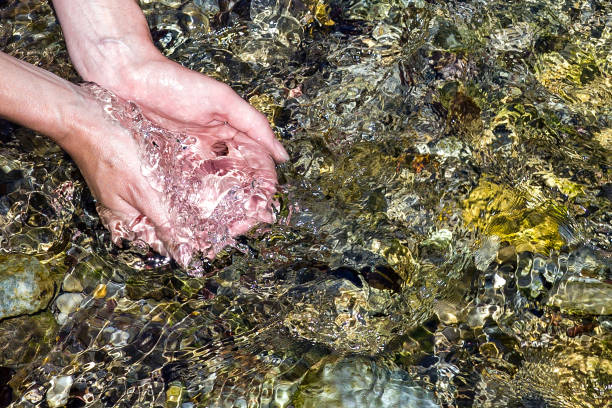 Female hands scoop up fresh water in a fast flowing river. Clear mountan stream