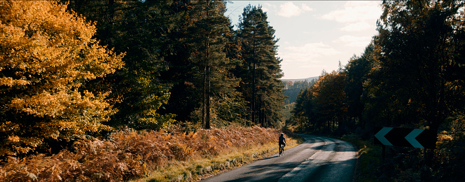 Young adult cycling on a professional road bike wearing lycra and a helmet on the road surrounded by trees. He is determined and cycles down hill.
