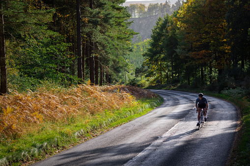 Young adult cycling on a professional road bike wearing lycra and a helmet on the road surrounded by trees. He is determined and concentrates on what he is doing cycling up hill.