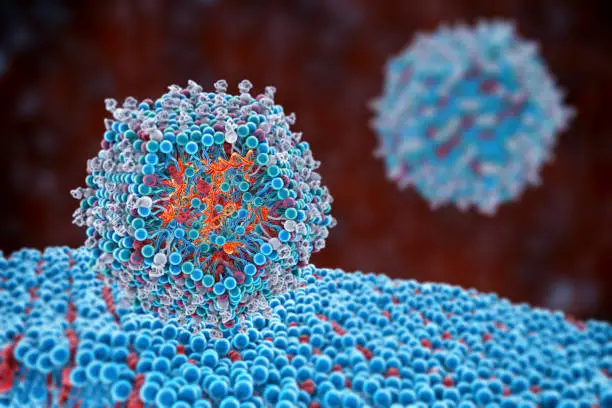 Lipid nanoparticle siRNA antivirals entering a human cell. A type of nanoparticle delivery system, antiviral drug used against Covid-19, 3D illustration