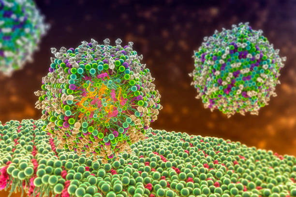 vaccin à arnm à nanoparticules lipidiques - nanoparticule photos et images de collection