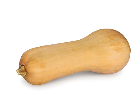 Fresh butternut squash isolated on a white background, popular seasonal pumpkin for delicious dishes in autumn.