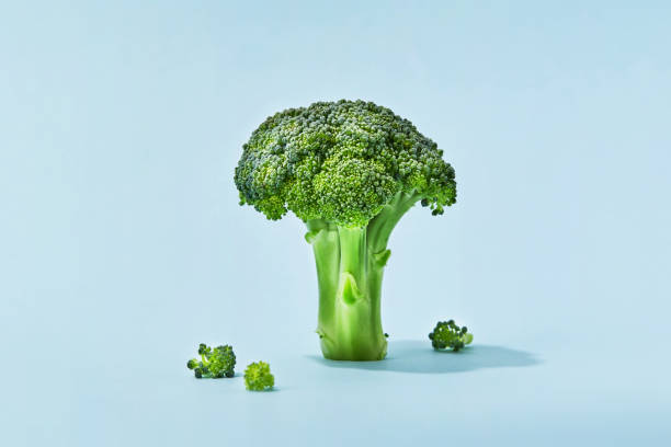 istock Broccoli sprig on colored background, asparagus cabbage isolated. Perfect Sprig of Fresh Broccoli 1437859759