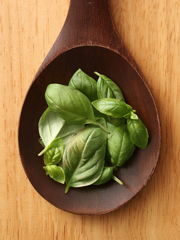 Top view of wooden spoon with fresh basil leaves on it