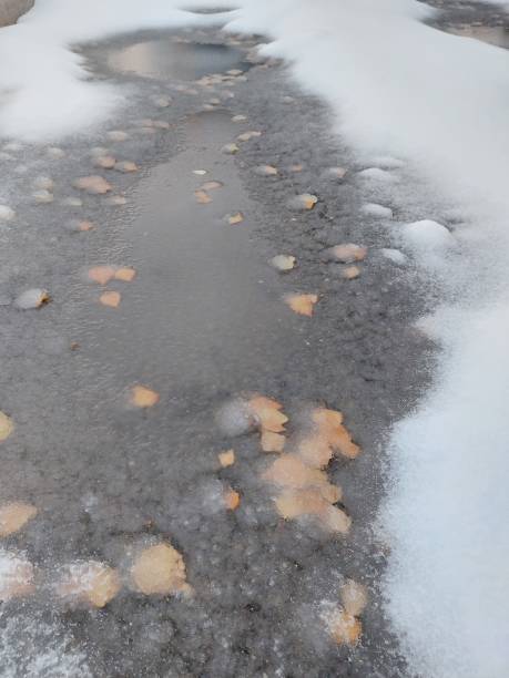 istock the first snow on asphalt with puddles and autumn leaves 1437862242