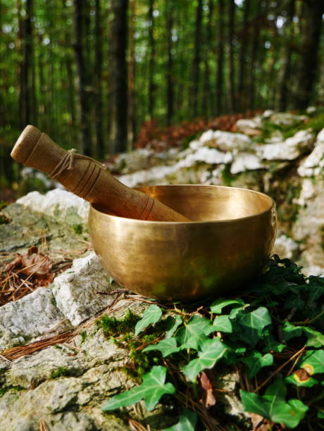 森を背景に岩の上でボウルを歌う - music wellbeing rin gong bowl ストックフォトと画像