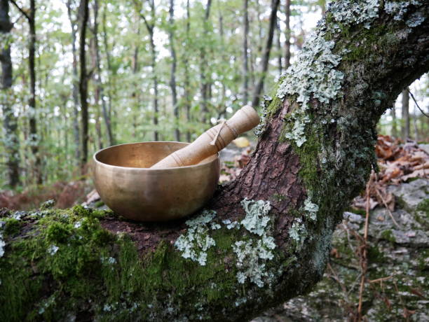 森を背景に木の枝にシンギングボウル - music wellbeing rin gong bowl ストックフォトと画像