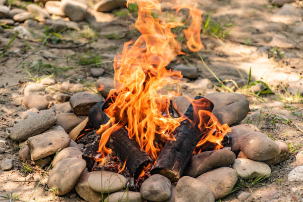 Bonfire in nature on a windy  day