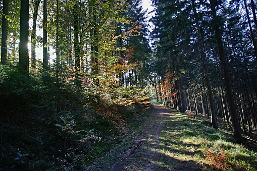 the Odenwald in autumn