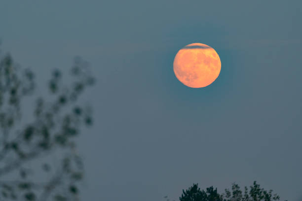 istock Full Moon in the dark November winter night sky 1437870708