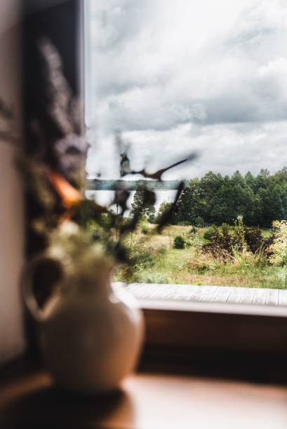 istock A vase with flowers and view from the window 1437870744