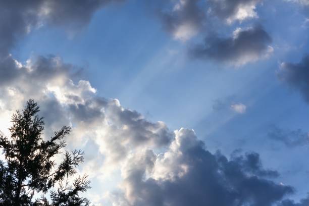 istock andscape of a Sky With Clouds in the Evening 1437871026