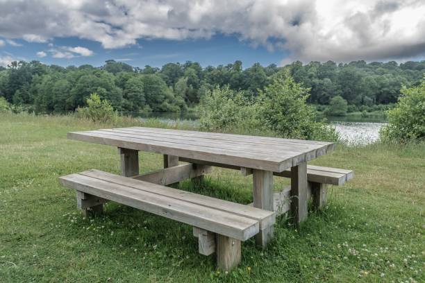 istock Staffordshire Lakeside Bench Sunny Day Landscape 1437871271