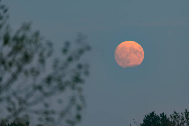 istock Full Moon in the dark November winter night sky 1437871371