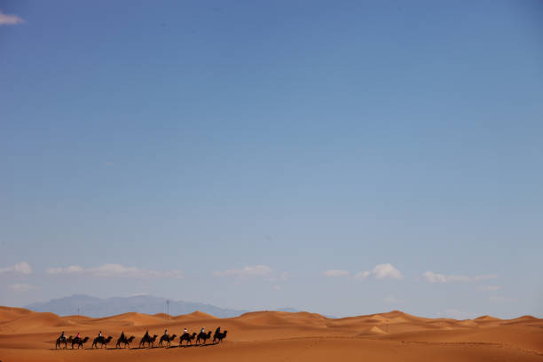 istock Camel caravan in a desert in Xinjiang, China 1437871853