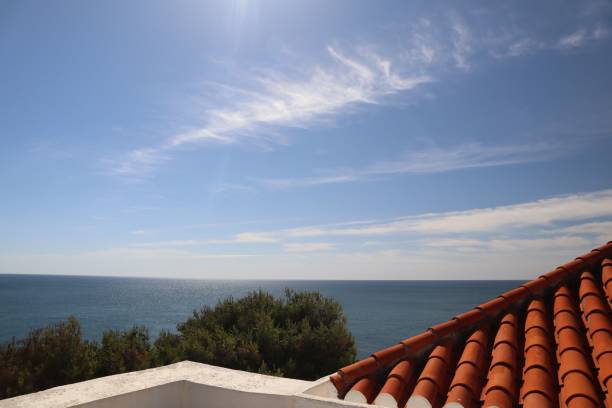 istock Tiled rooftop with trees and sea in the background on a sunny day 1437873301