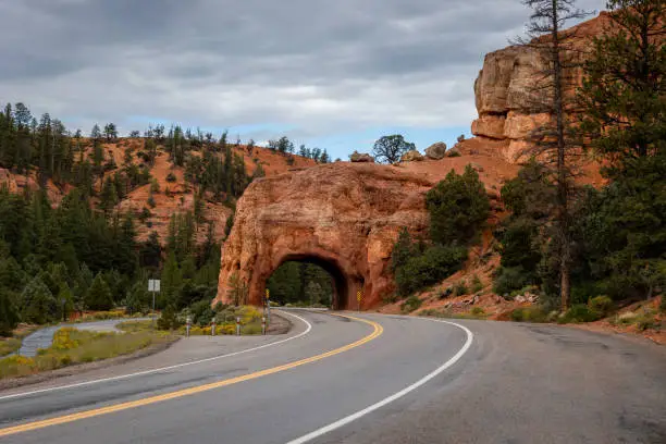 Photo of Dixie National Forest in Utah