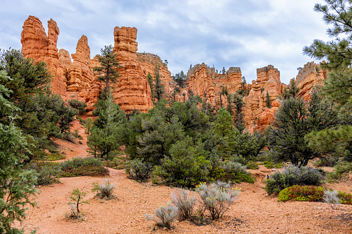 Red rocks in the Dixie National Forest, close to Bryce canyon.