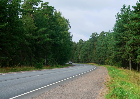 Automobile road in the middle of the forest, beautiful landscape