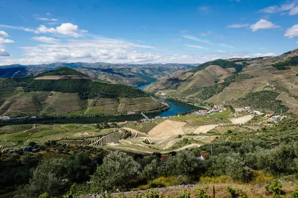 An aerial view of a landscape with buildings and a river in Casal de Loivos Miradouro, Portugal